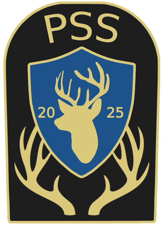 Private Security Solutions