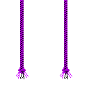 Purple Graduation Cord